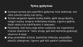 Tymai 13 puslapis