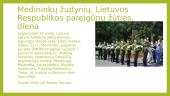 Lietuvos valstybinės šventės skaidrės 7 puslapis