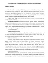 Giant Global Financial produktų duomenų bazės (DB) kūrimo ir integravimo į internetą projektas 4 puslapis