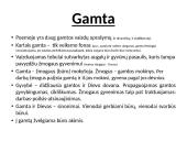 Gamta poemoje „Metai“ 4 puslapis