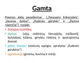 Gamta poemoje „Metai“ 5 puslapis