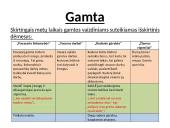 Gamta poemoje „Metai“ 7 puslapis