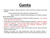Gamta poemoje „Metai“ 10 puslapis