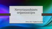 Nevyriausybinės organizacijos (skaidrės)