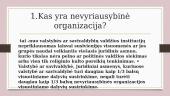 Nevyriausybinės organizacijos (skaidrės) 2 puslapis