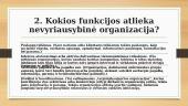 Nevyriausybinės organizacijos (skaidrės) 3 puslapis