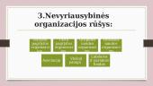 Nevyriausybinės organizacijos (skaidrės) 4 puslapis