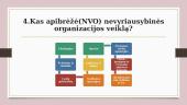 Nevyriausybinės organizacijos (skaidrės) 5 puslapis