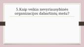Nevyriausybinės organizacijos (skaidrės) 6 puslapis