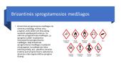 Sprogstamosios medžiagos (skaidrės) 5 puslapis