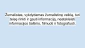 Žurnalistikos karjera 3 puslapis