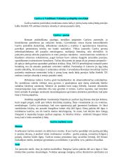 Katastrofų literatūros konspektas 6 puslapis