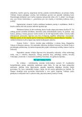 Katastrofų literatūros konspektas 8 puslapis