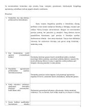 Vytautas Mačernis ir jo karta. Kas yra žemininkai? Teksto suvokimas su atsakymais 2 puslapis