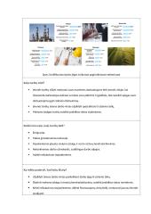 Problemų sprendimo algoritmas ,,Kvalifikuotos darbo jėgos trūkumas Lietuvoje'' 2 puslapis