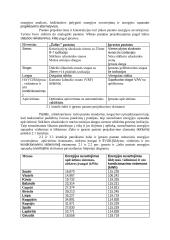 Įprastų ir žalių pastatų energijos sąnaudų palyginimas 8 puslapis