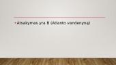 Viktorina apie NATO 13 puslapis