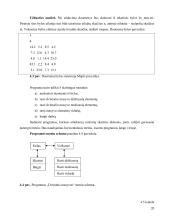 Kompiuterinių matematikos sistemų programų grafinės vartotojo sąsajos kūrimo galimybių analizė  19 puslapis