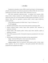 Kompiuterinių matematikos sistemų programų grafinės vartotojo sąsajos kūrimo galimybių analizė  2 puslapis