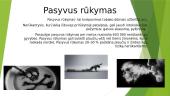 Rūkymas 8 puslapis