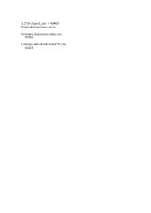 Informacijos apdorojimo sistemos 15 puslapis