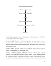 Suspensinių ir emulsinių vaistų gamybos schema, aparatūra ir medžiagos 14 puslapis