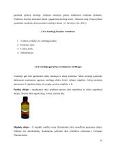 Suspensinių ir emulsinių vaistų gamybos schema, aparatūra ir medžiagos 15 puslapis