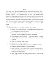 Meilė gali būti ir kančia, ir stiprybė (kalba su planu) 4 puslapis