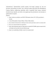 Meilė gali būti ir kančia, ir stiprybė (kalba su planu) 5 puslapis