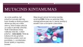 Mutacija ir mutagenai (skaidrės) 2 puslapis