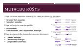 Mutacija ir mutagenai (skaidrės) 3 puslapis