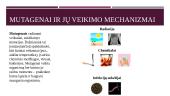 Mutacija ir mutagenai (skaidrės) 5 puslapis