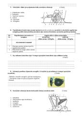 Ūkininkavimo pradmenų testas 6 puslapis
