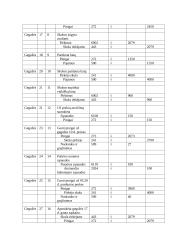 Finansinės apskaitos savarankiškas darbas 11 puslapis