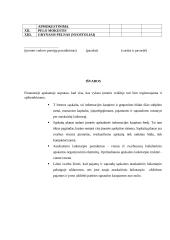 Finansinės apskaitos savarankiškas darbas 18 puslapis