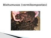 Biochumusas (vermikompostas) 3 puslapis