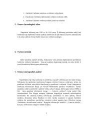 Gediminas diplomatas 3 puslapis