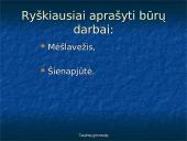 „Viežlybieji“ būrai ir jų darbai 4 puslapis