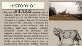 Vilnius presentation 3 puslapis