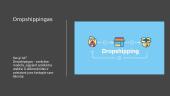 Verslo planas - Dropshippingas  3 puslapis