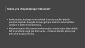 Verslo planas - Dropshippingas  4 puslapis