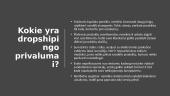 Verslo planas - Dropshippingas  5 puslapis