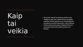 Verslo planas - Dropshippingas  6 puslapis