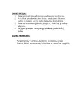 Kaitinimo elemento naudingumo koeficiento nustatymas 2 puslapis