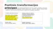 Poetinės transformacijos principas H. Radausko kūryboje  2 puslapis