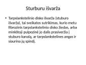 Traumos 2 puslapis