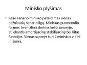 Traumos 5 puslapis