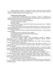  Civilinės saugos sistema 2 puslapis