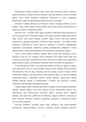 Vaikų dienos centrų raida Lietuvoje 5 puslapis