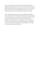 Išminties ir meilės svarba žmogaus tobulėjimui (kalba su planu) 4 puslapis